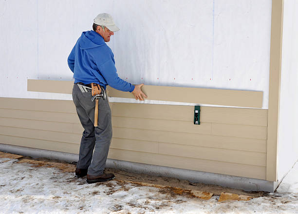 Best Custom Trim and Detailing for Siding  in Delavan, IL
